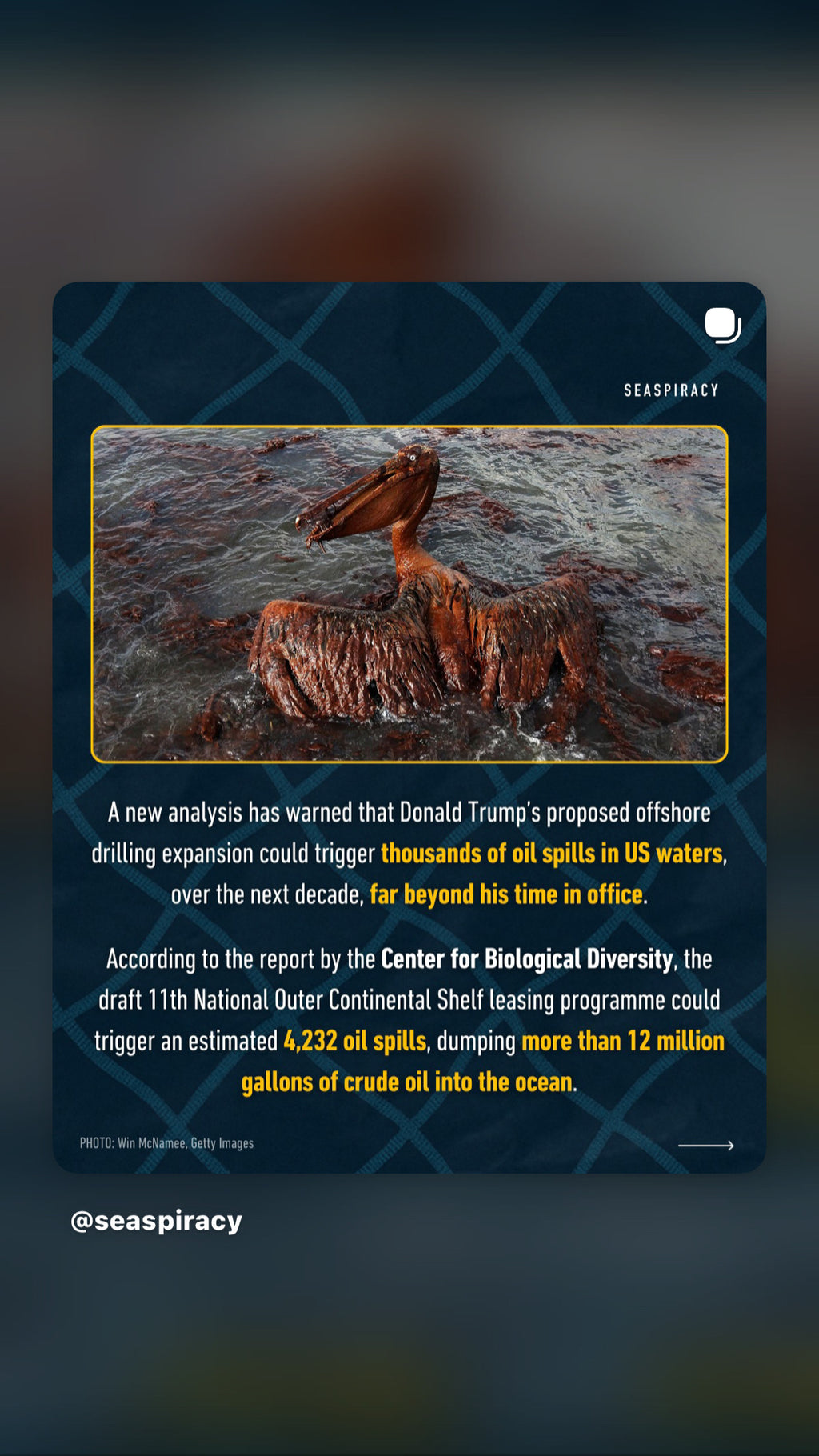 You Better Not Touch Donald