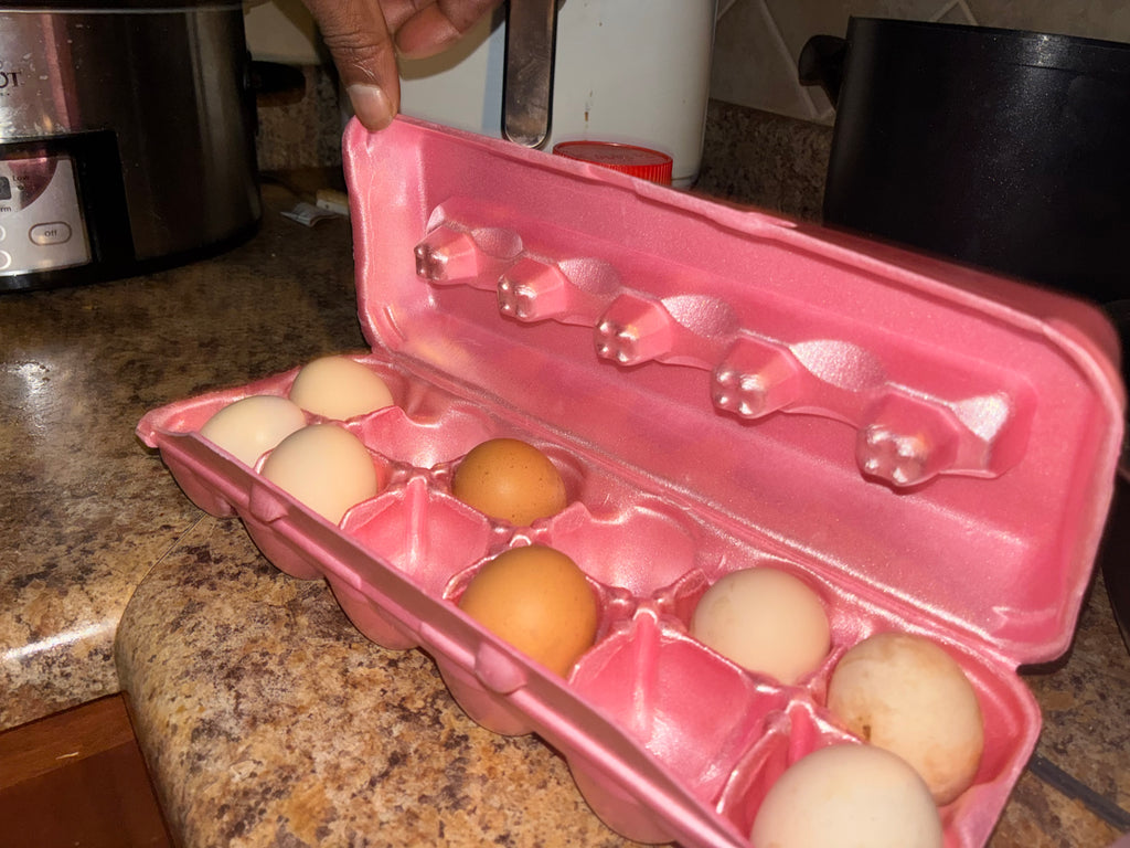 REIGN Sausage & Eggs COOK BOOK