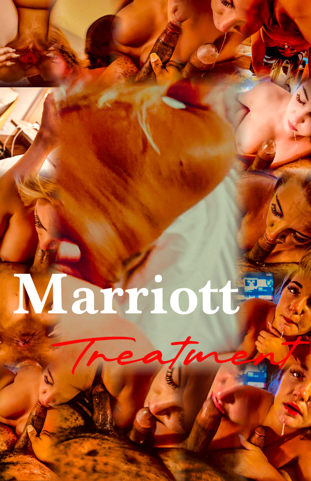 Snow Bunny Blair Marriott Treatment Posters