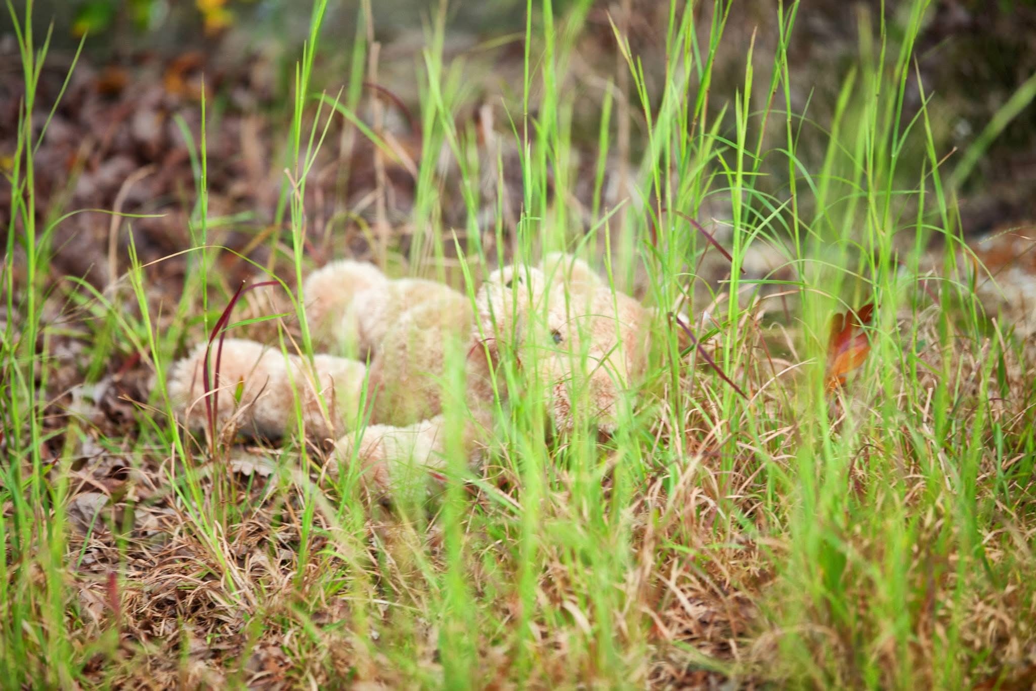 In The Field