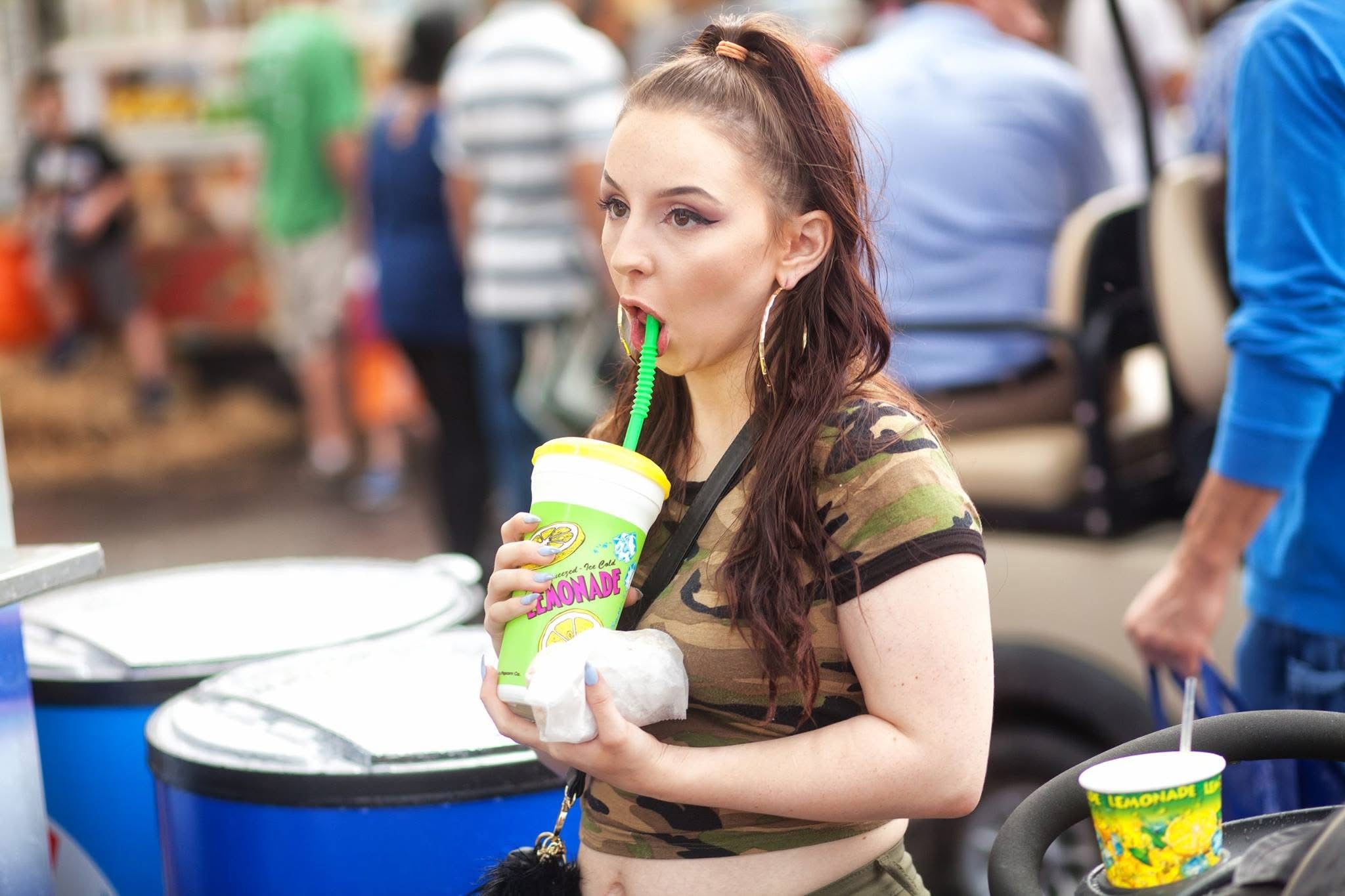 2016 State Fair Posters