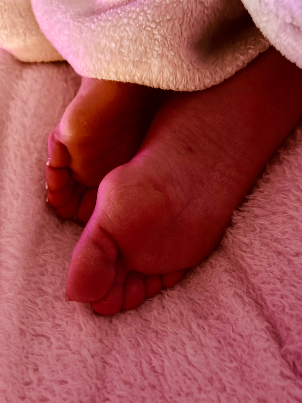 Bunions & Ass Magazine