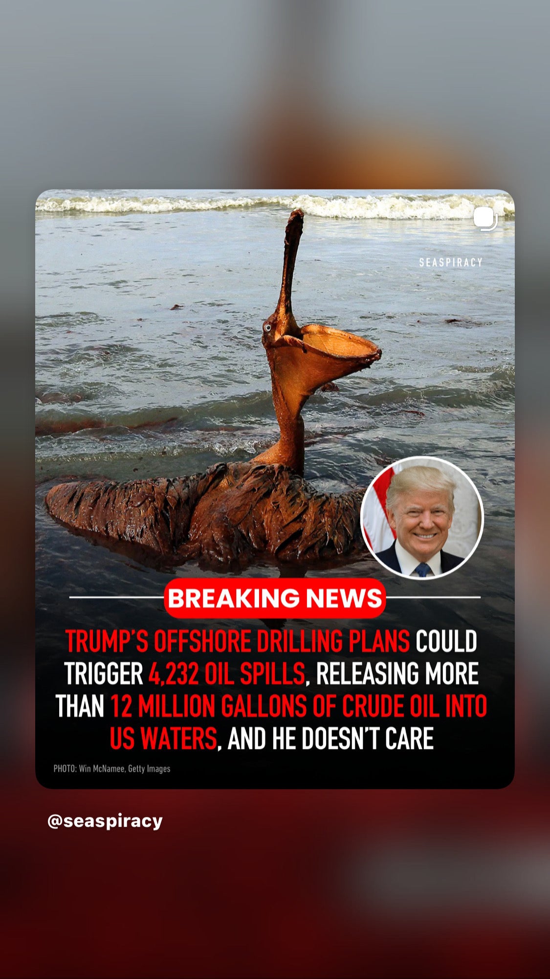 You Better Not Touch Donald