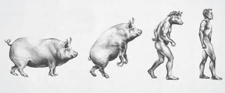 Eat This You PIG-Magazine