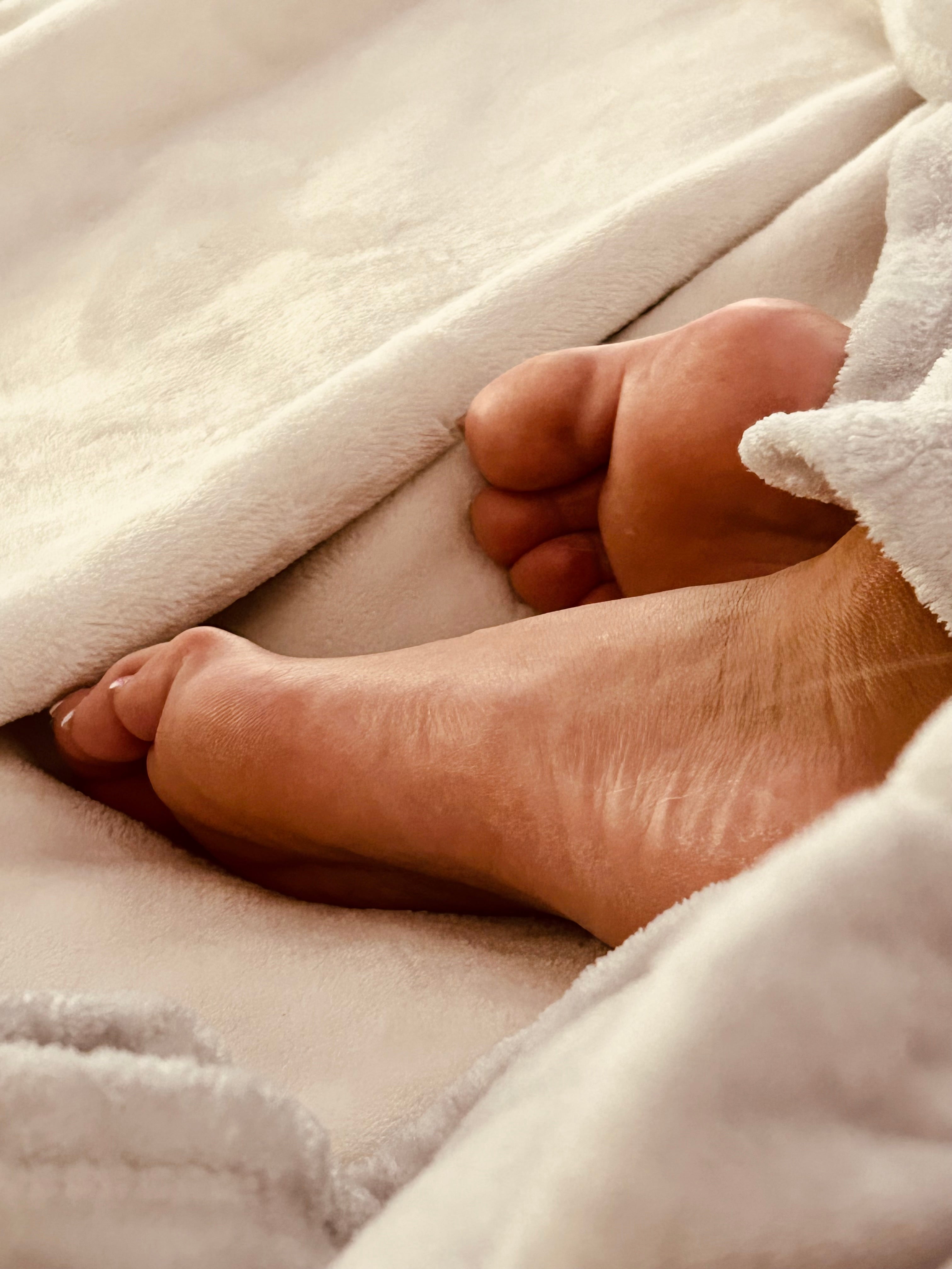 P.J.’s & Bunions Magazine