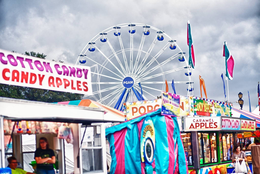 PHOZOE NC State Fair magazine