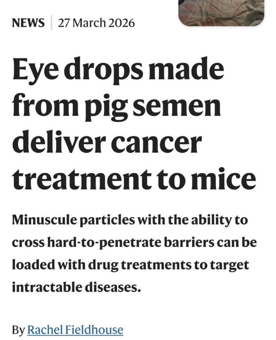 Eat This You PIG-Magazine