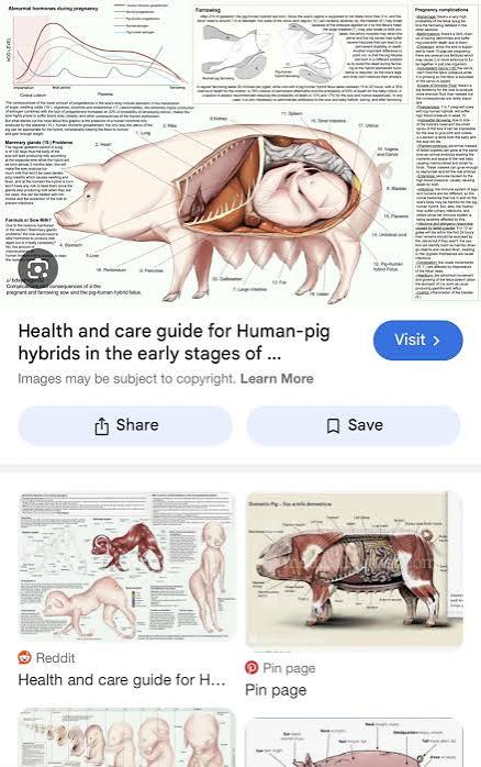 Eat This You PIG-Magazine