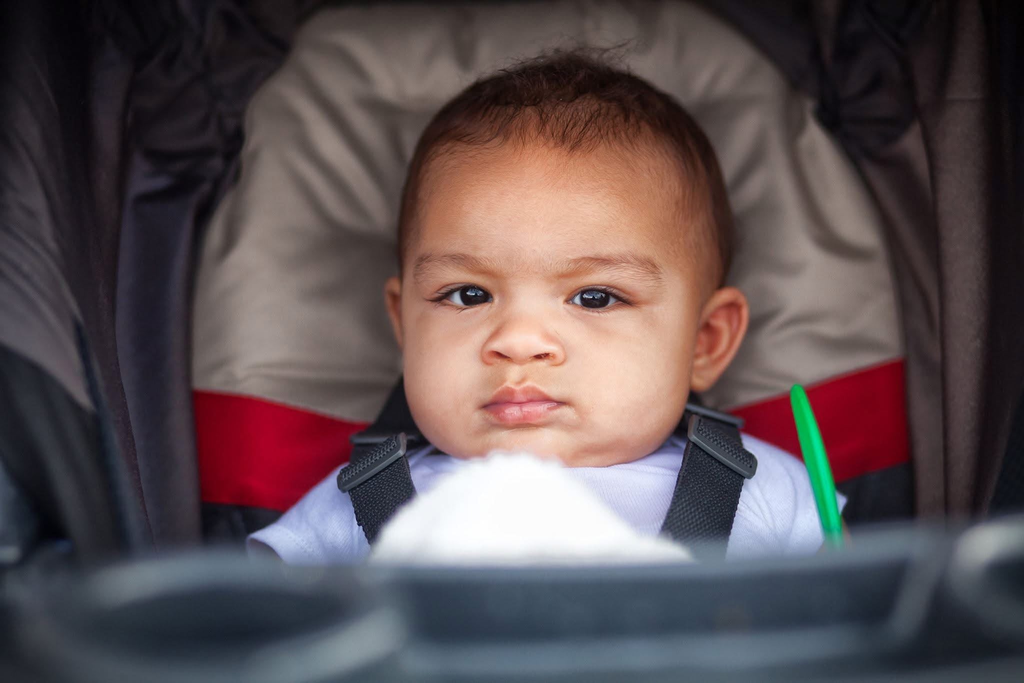 2016 State Fair Posters