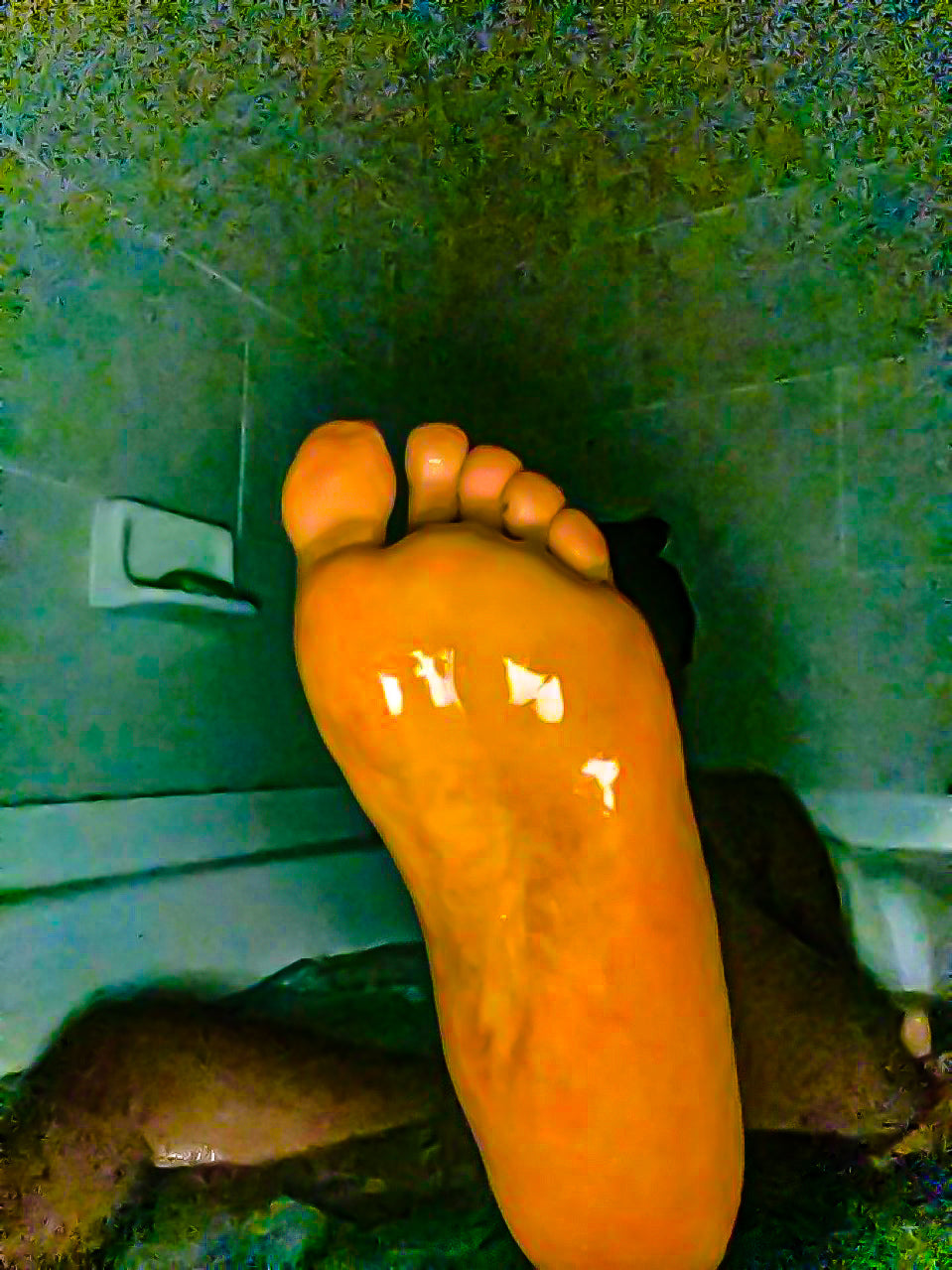 Danielle Jenkins Posters