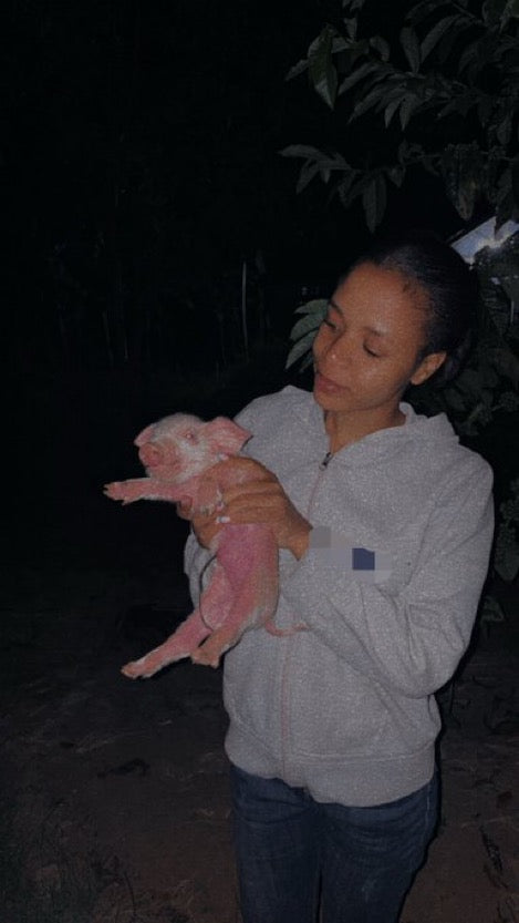 Forced To Be A PiG Posters