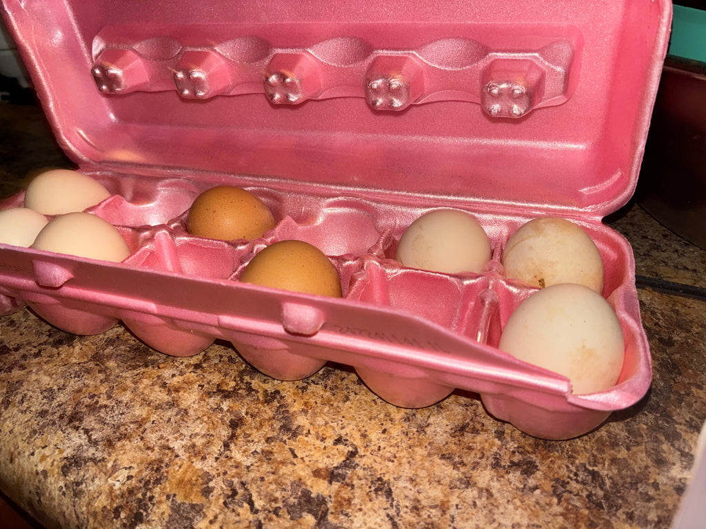REIGN Sausage & Eggs COOK BOOK