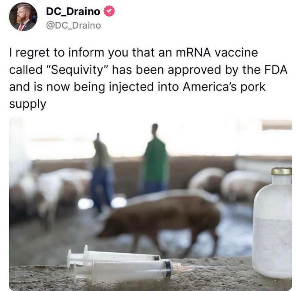 Eat This You PIG-Magazine