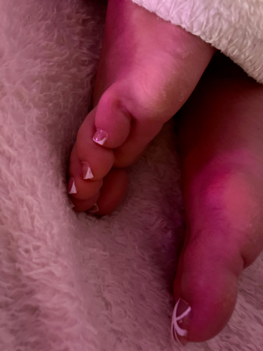 Bunions & Ass Magazine