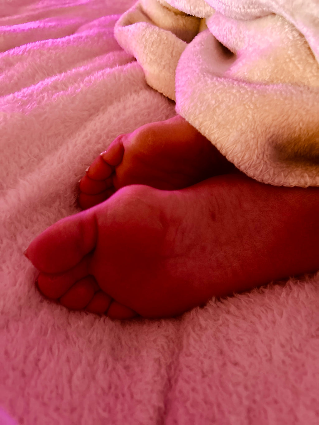 Bunions & Ass Magazine