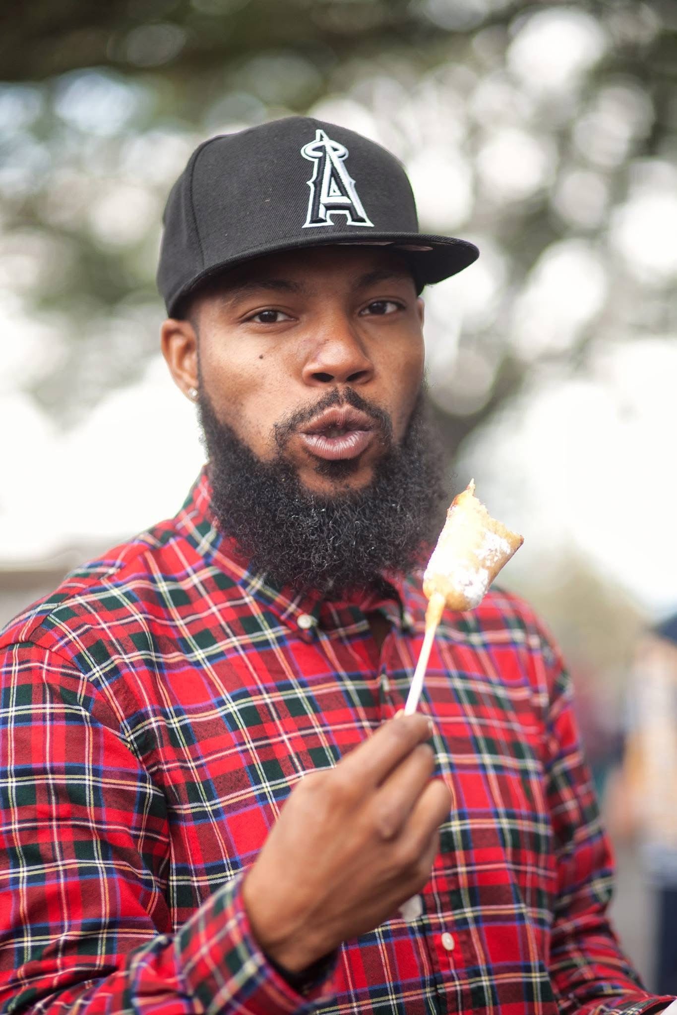 2016 State Fair Posters