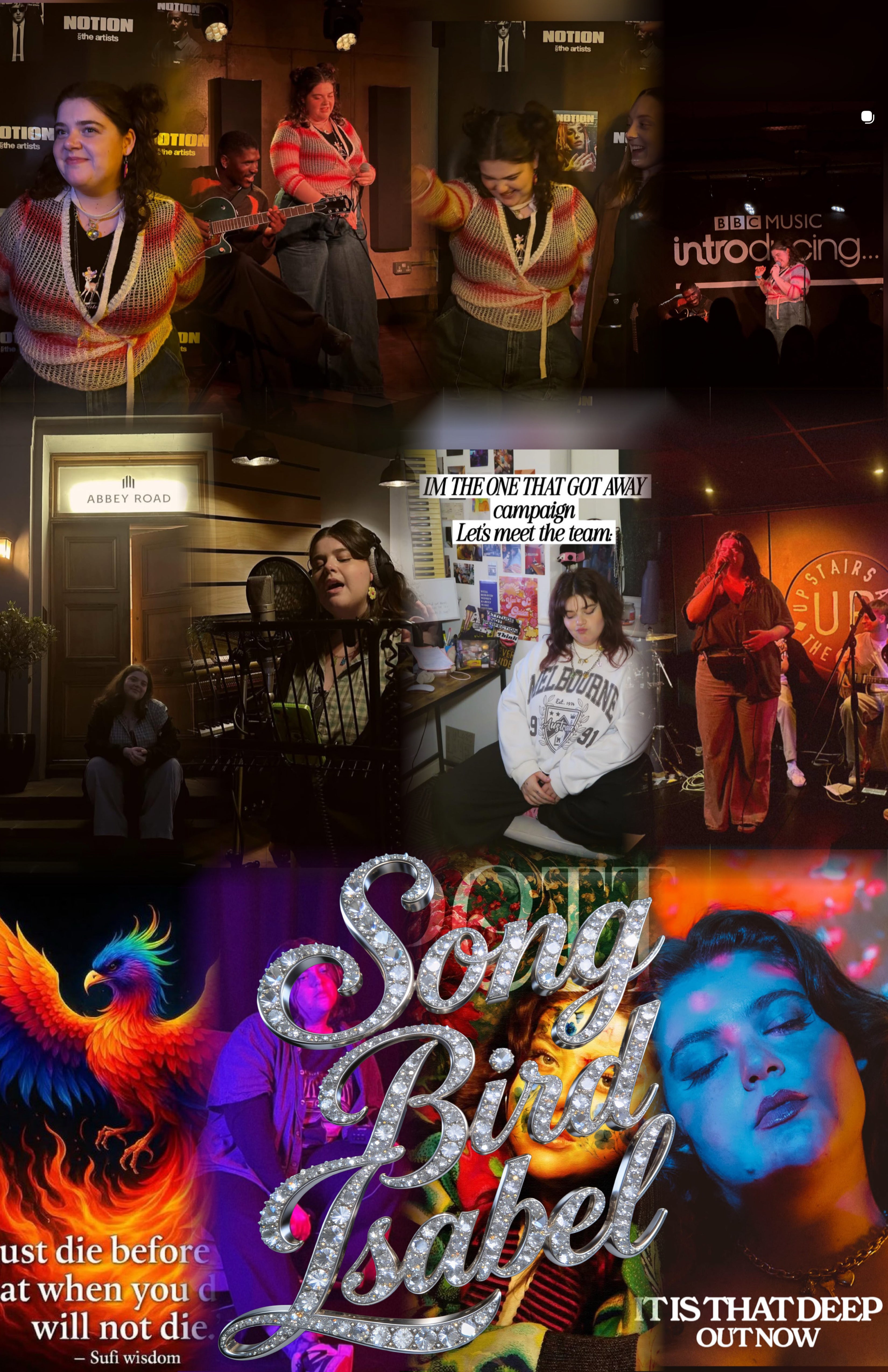 Song Bird Isabel